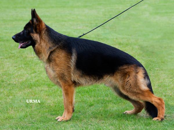 CH. Hinko val d anzin